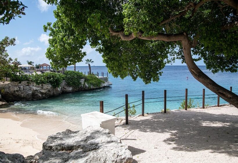 Dreams Curacao Resort, Spa & Casino All Inclusive