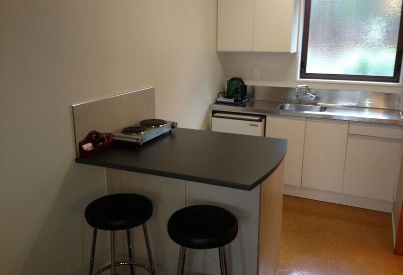 Отель Aotea Lodge