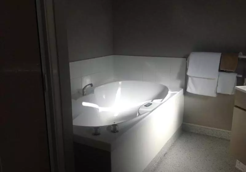 Отель Durham Court Motor Inn