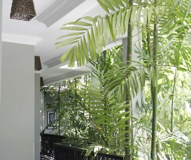 تختخواب و صبحانه Cloud 10 Boutique