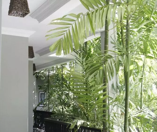 Bed and Breakfast Cloud 10 Boutique