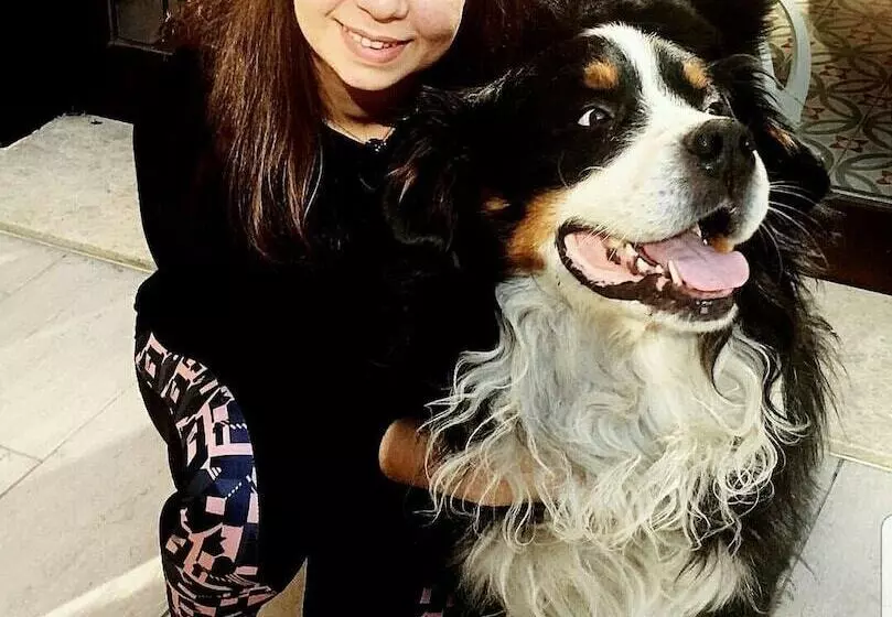 Hotelli Kazdaglari Karye Müze