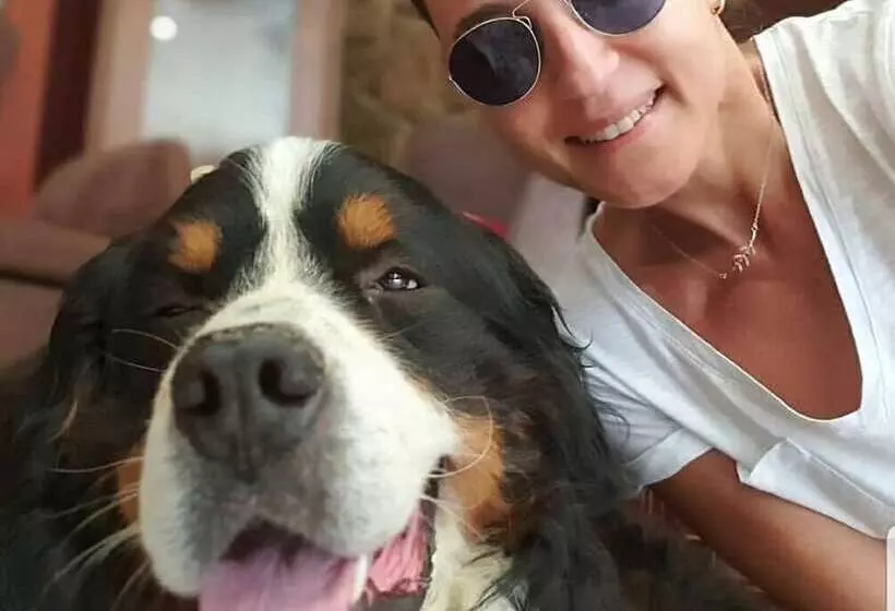 Hotelli Kazdaglari Karye Müze