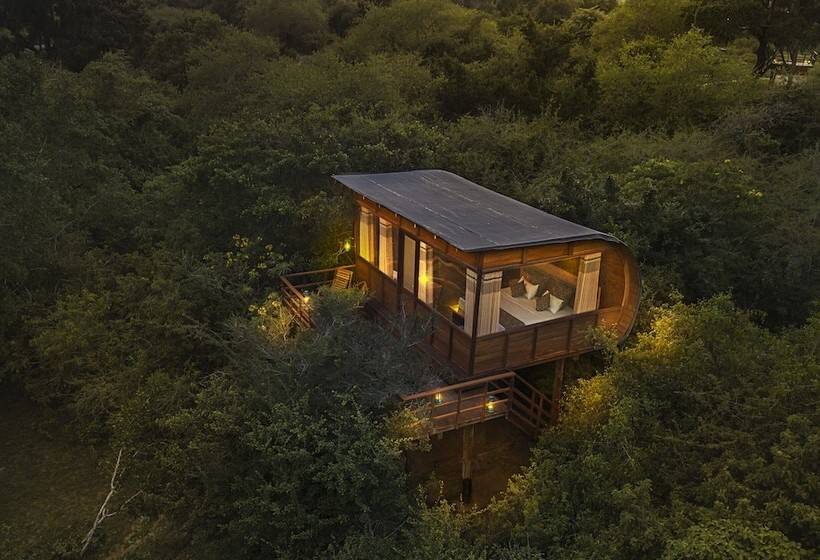 Hotel Leopard Nest   Glamping In Yala