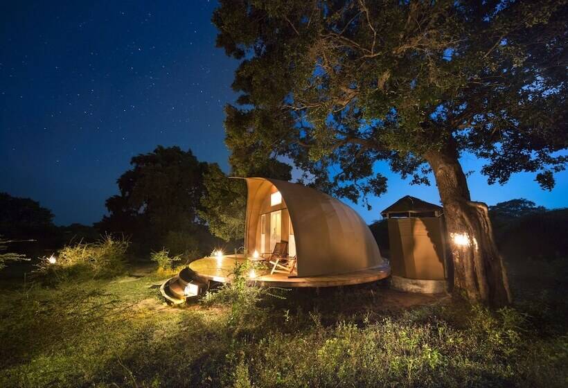 Hotel Leopard Nest   Glamping In Yala