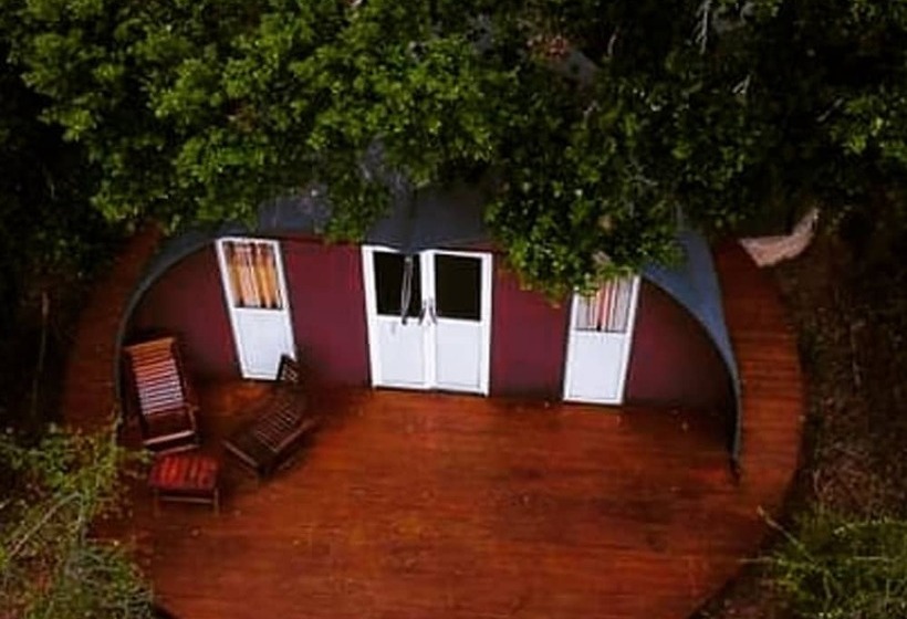 Hotel Leopard Nest   Glamping In Yala