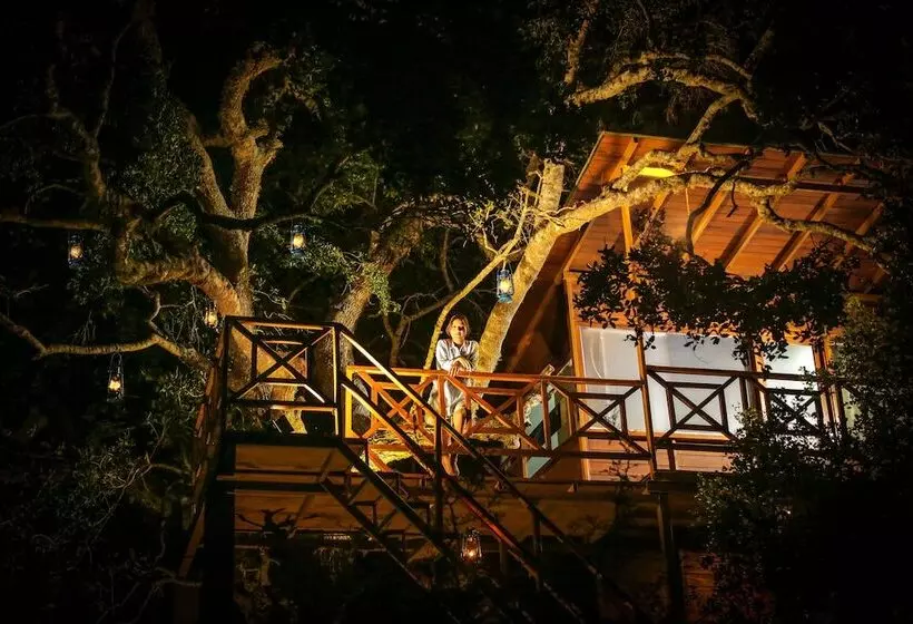 Hotelli Leopard Nest   Glamping In Yala