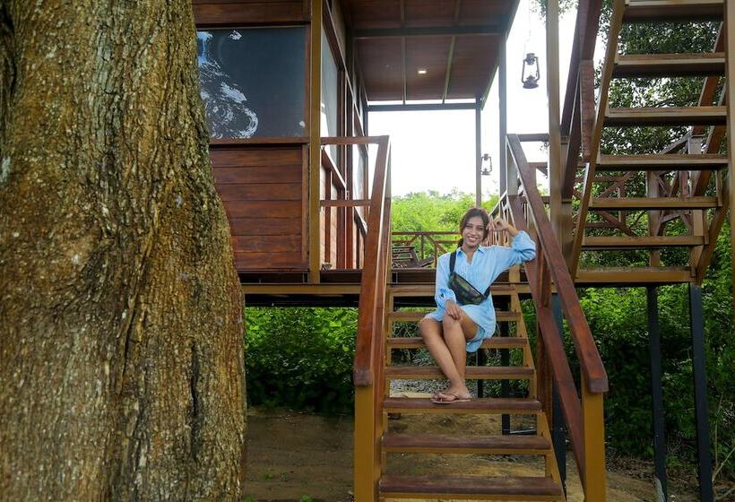 Hotel Leopard Nest   Glamping In Yala