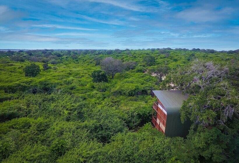 Hotel Leopard Nest   Glamping In Yala