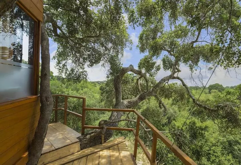 Hotelli Leopard Nest   Glamping In Yala