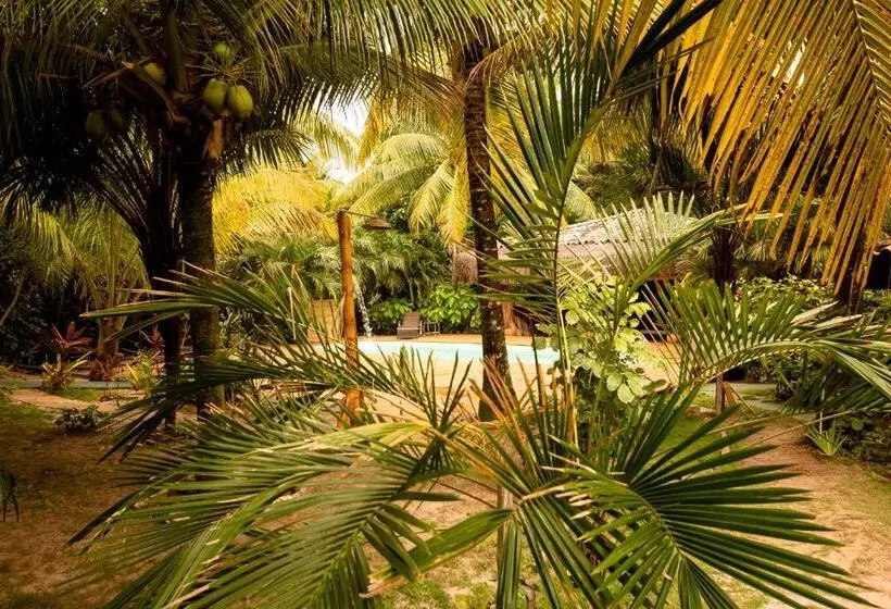 ホテル Na Villa Dos Algodões