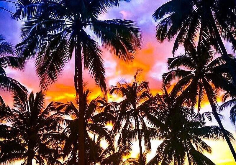 Samui Green Palm Resort