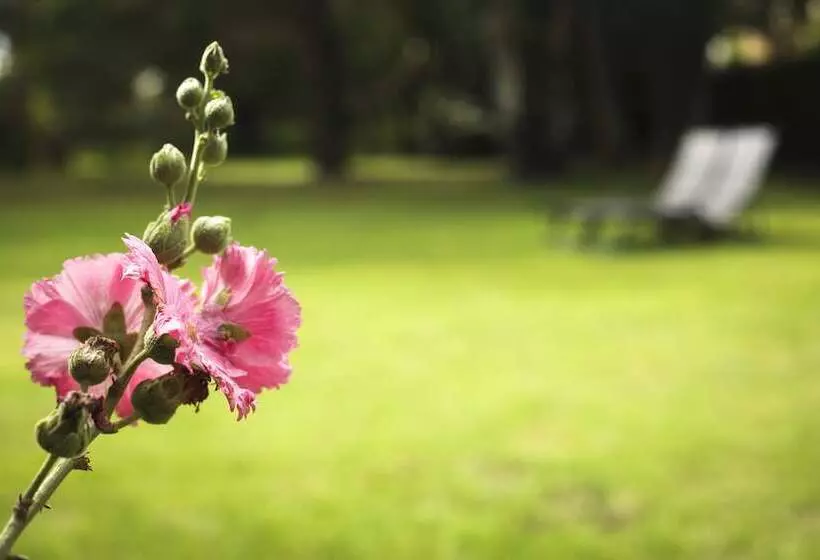 تختخواب و صبحانه La Belle Monsoise