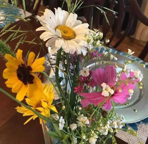 ベッドアンドブレックファースト Castle Rock Bnb