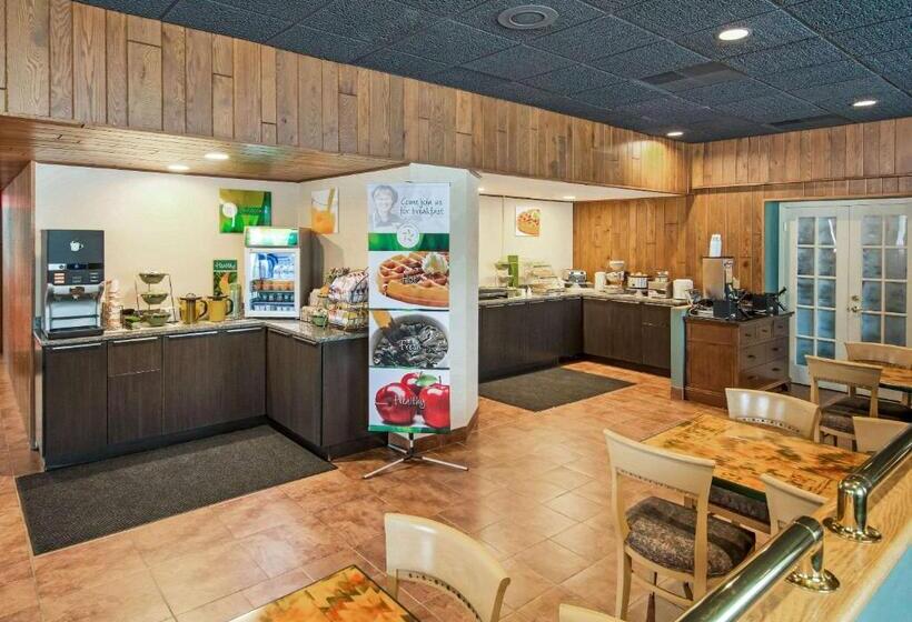 호텔 Quality Inn & Suites