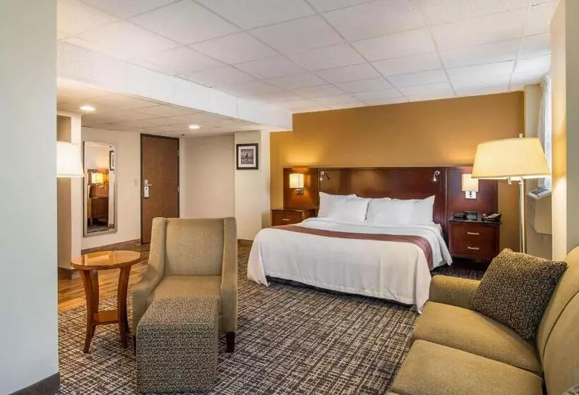 ホテル Quality Inn & Suites