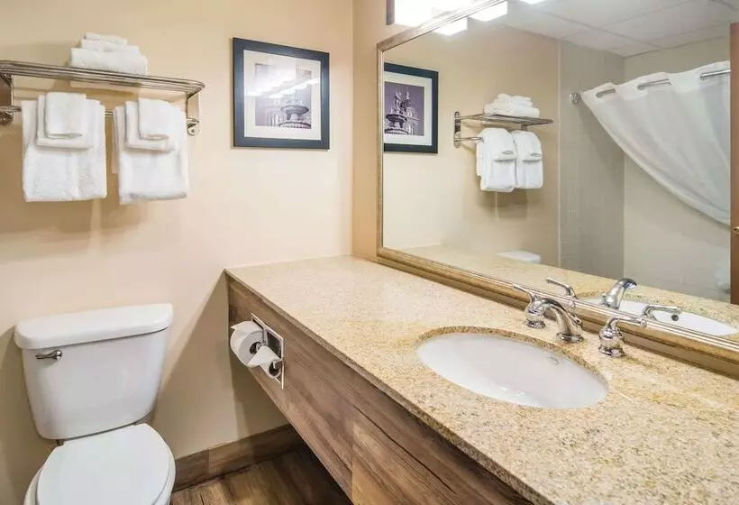 ホテル Quality Inn & Suites