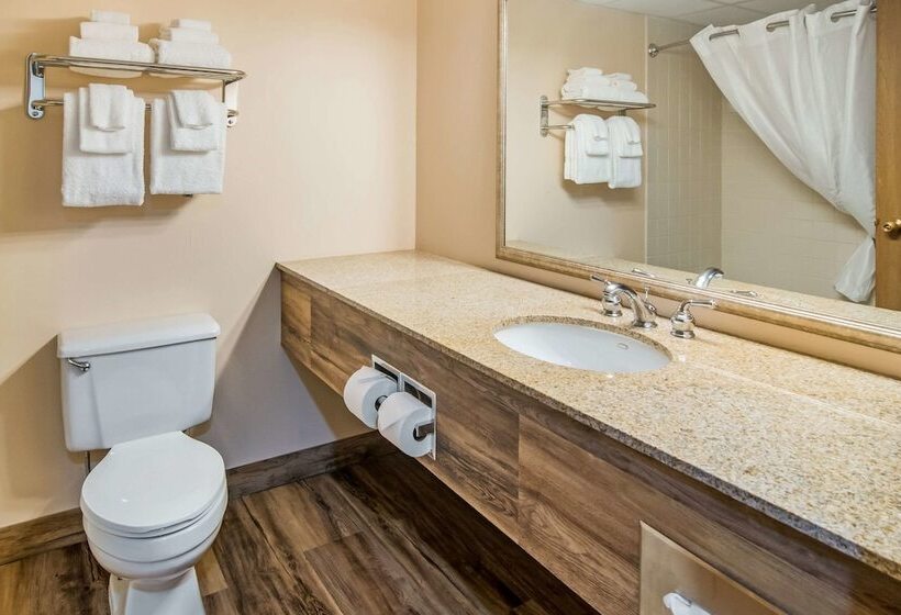 호텔 Quality Inn & Suites