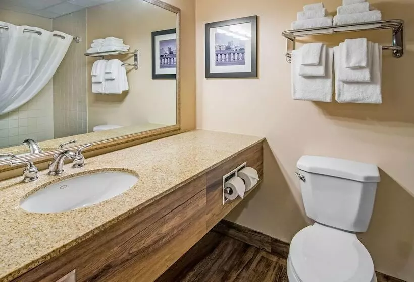 ホテル Quality Inn & Suites
