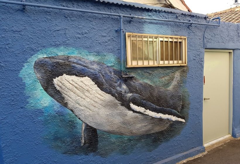 펜션 Jinho S Black Whale Guesthouse & Bar