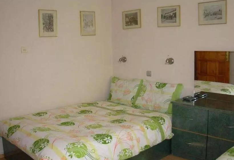 ホテル Choo Choo Pension