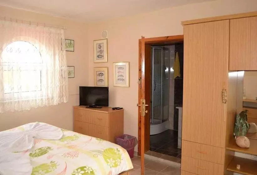 ホテル Choo Choo Pension