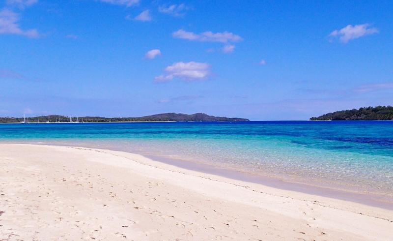 فندق Coconut Beach Resort