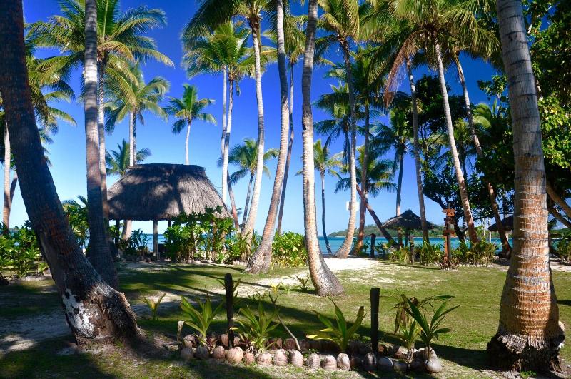 فندق Coconut Beach Resort