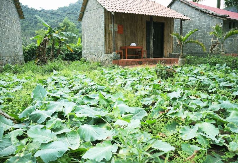 هتل Long Phuong Homestay