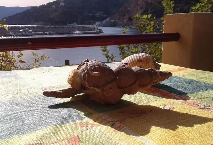 ホテル Porto Sabatiki