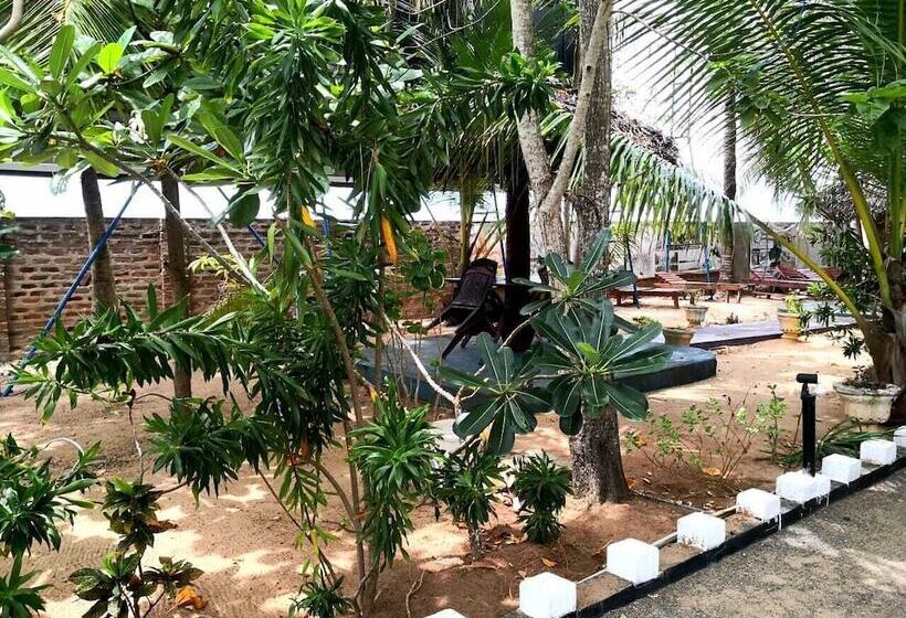 Hotel Star Rest Beach