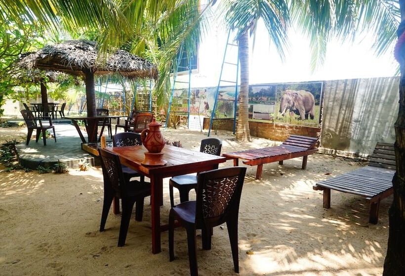 Hotel Star Rest Beach