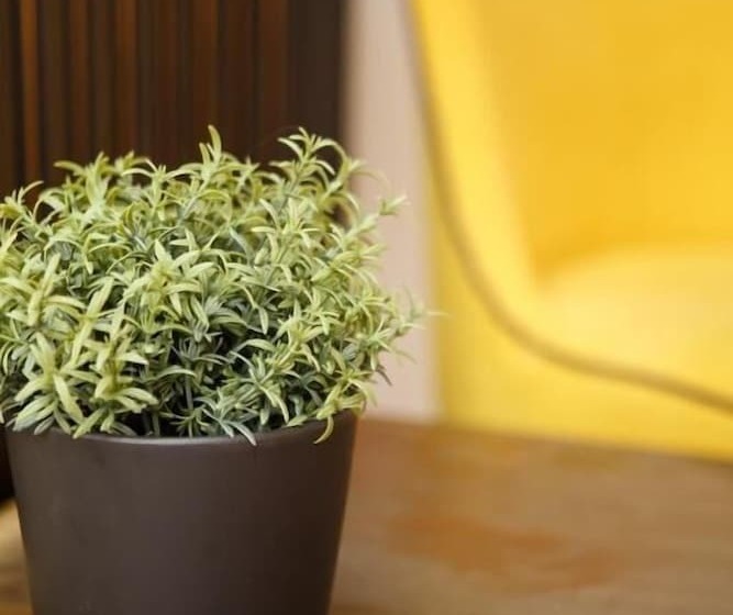 ペンション Limani Comfort Rooms