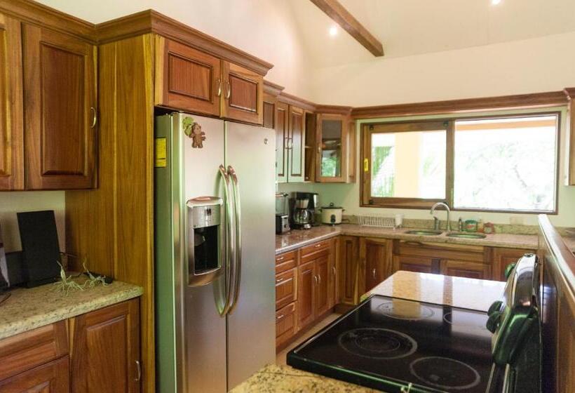 Casa Monos Locos   Portasol Vacation Rentals