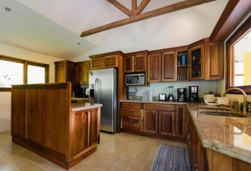 Casa Monos Locos   Portasol Vacation Rentals