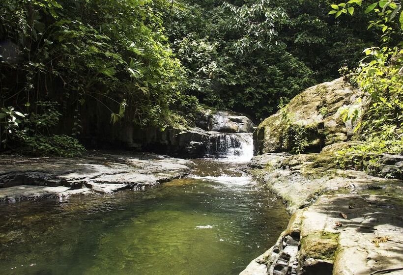 Casa Monos Locos   Portasol Vacation Rentals