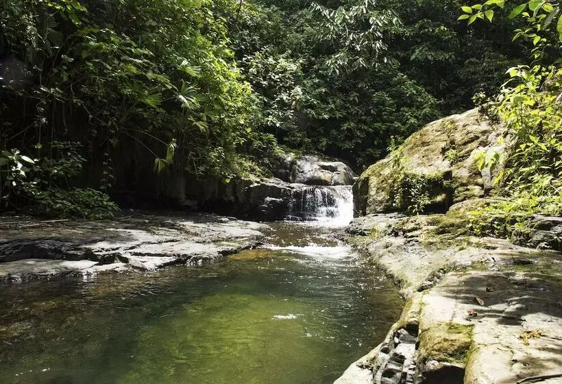 Casa Monos Locos   Portasol Vacation Rentals