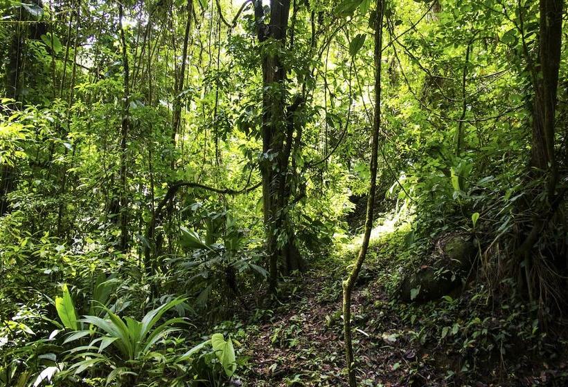 Casa Monos Locos   Portasol Vacation Rentals