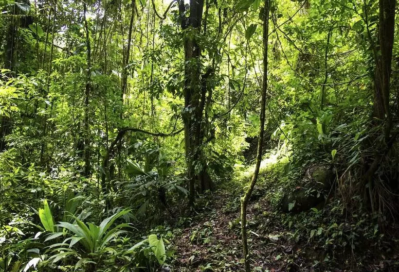 Casa Monos Locos   Portasol Vacation Rentals