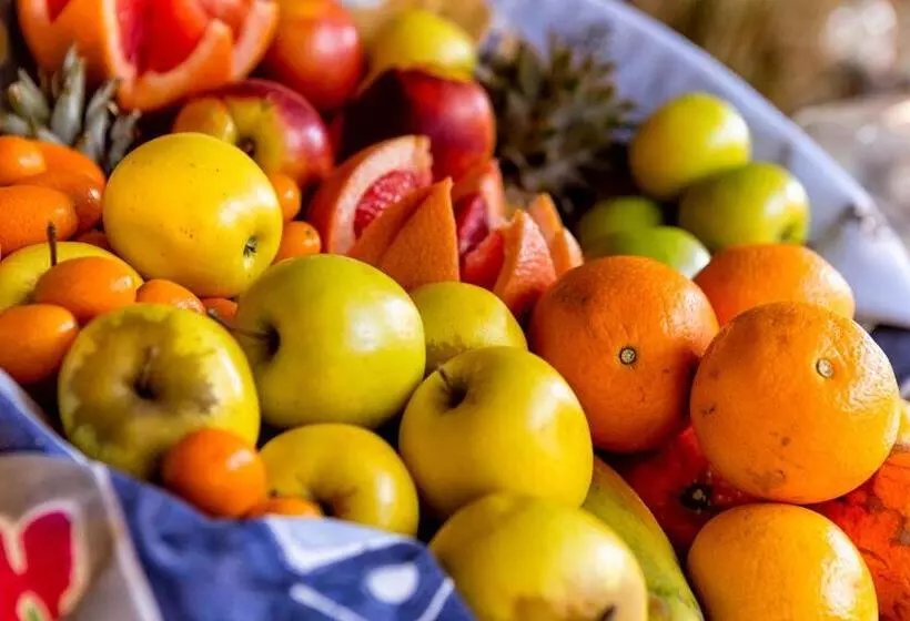 هتل Etosha Village