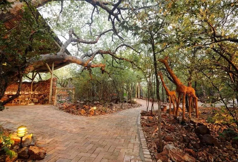 هتل Etosha Village