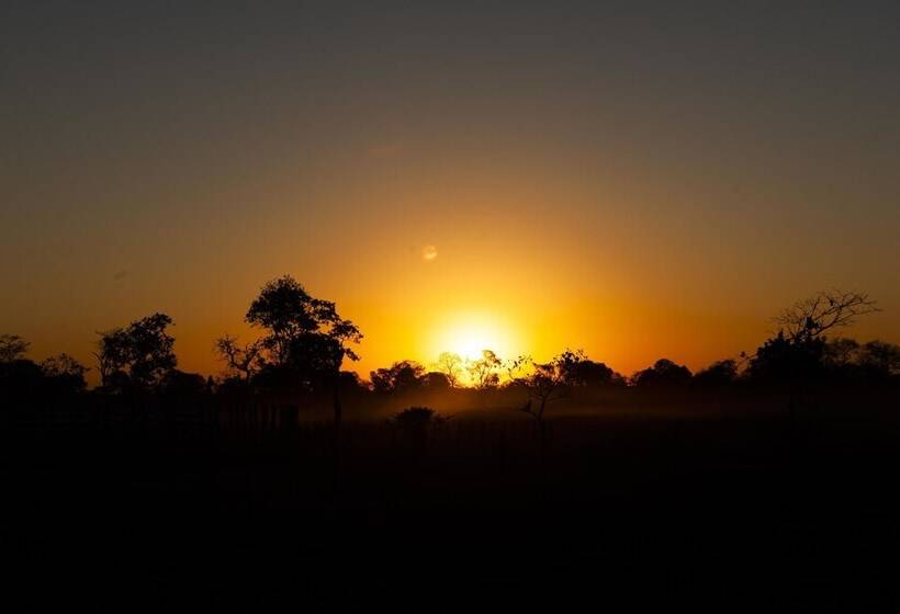 ホテル Porto Jofre Pantanal