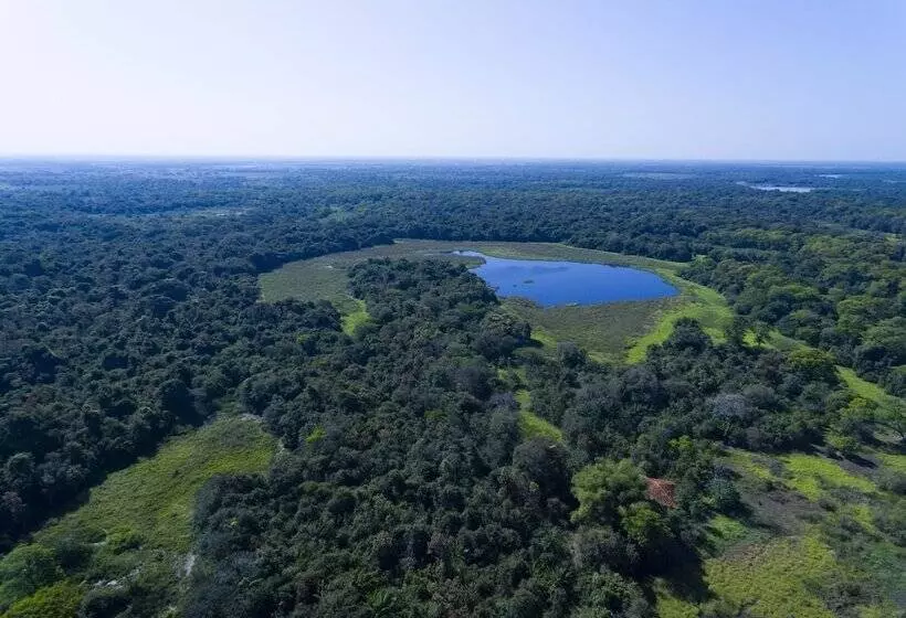 Hotelli Porto Jofre Pantanal