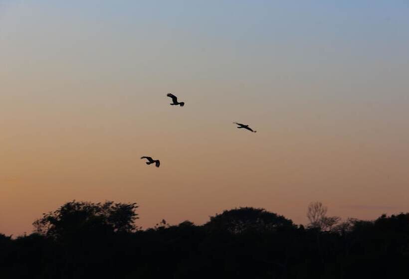 ホテル Porto Jofre Pantanal