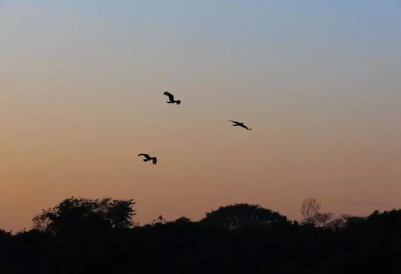 Hotelli Porto Jofre Pantanal