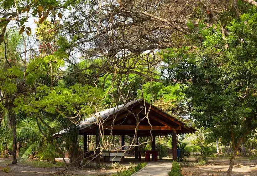 Hotelli Porto Jofre Pantanal
