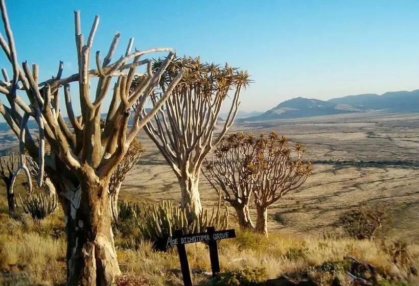 هتل Tsauchab River Lodge