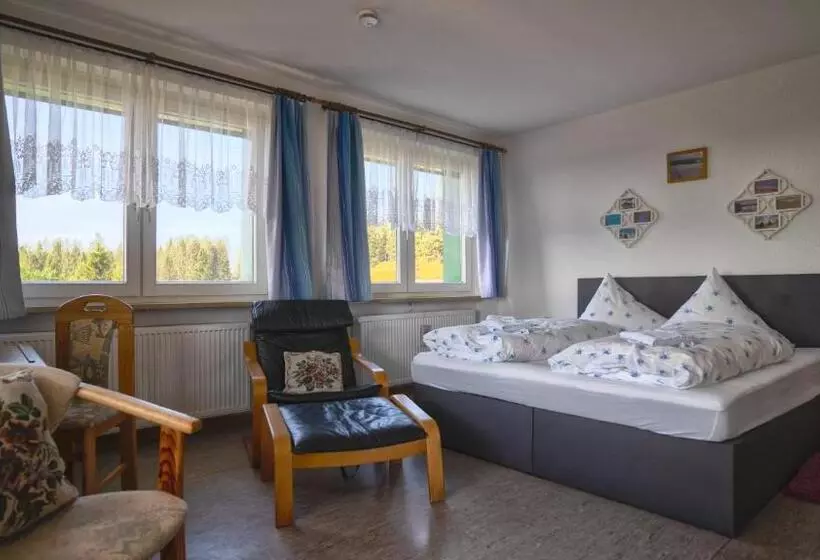 ペンション Berggasthof Zur Todtnauer Hütte