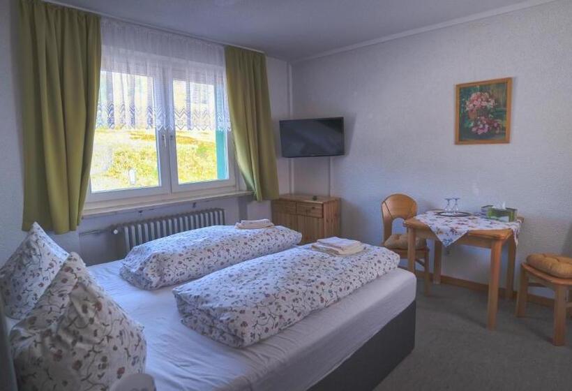Pensão Berggasthof Zur Todtnauer Hütte
