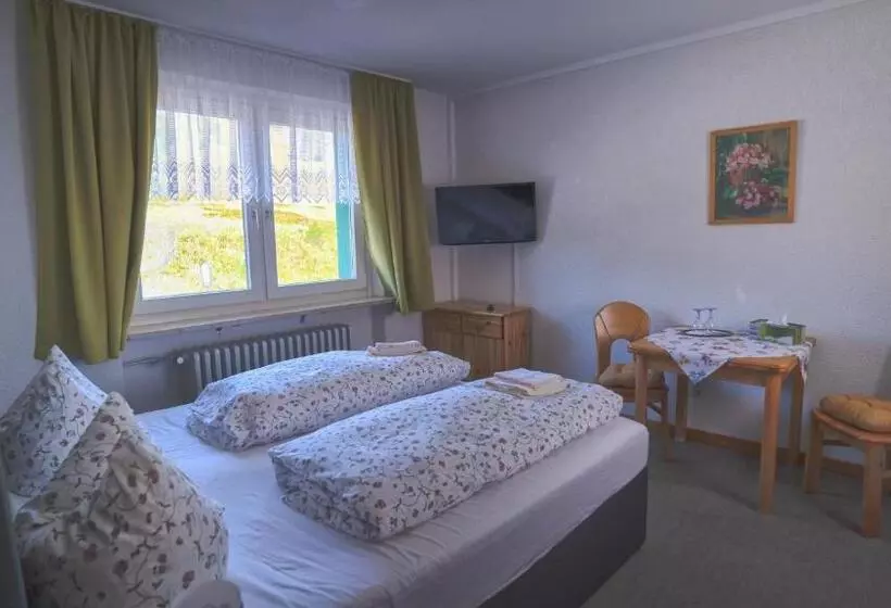 ペンション Berggasthof Zur Todtnauer Hütte